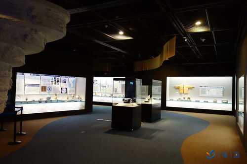 融合創新 數字科技賦能下的主題文化教育新體驗